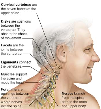 Chiropractic Solutions, Chiropractor Norwood